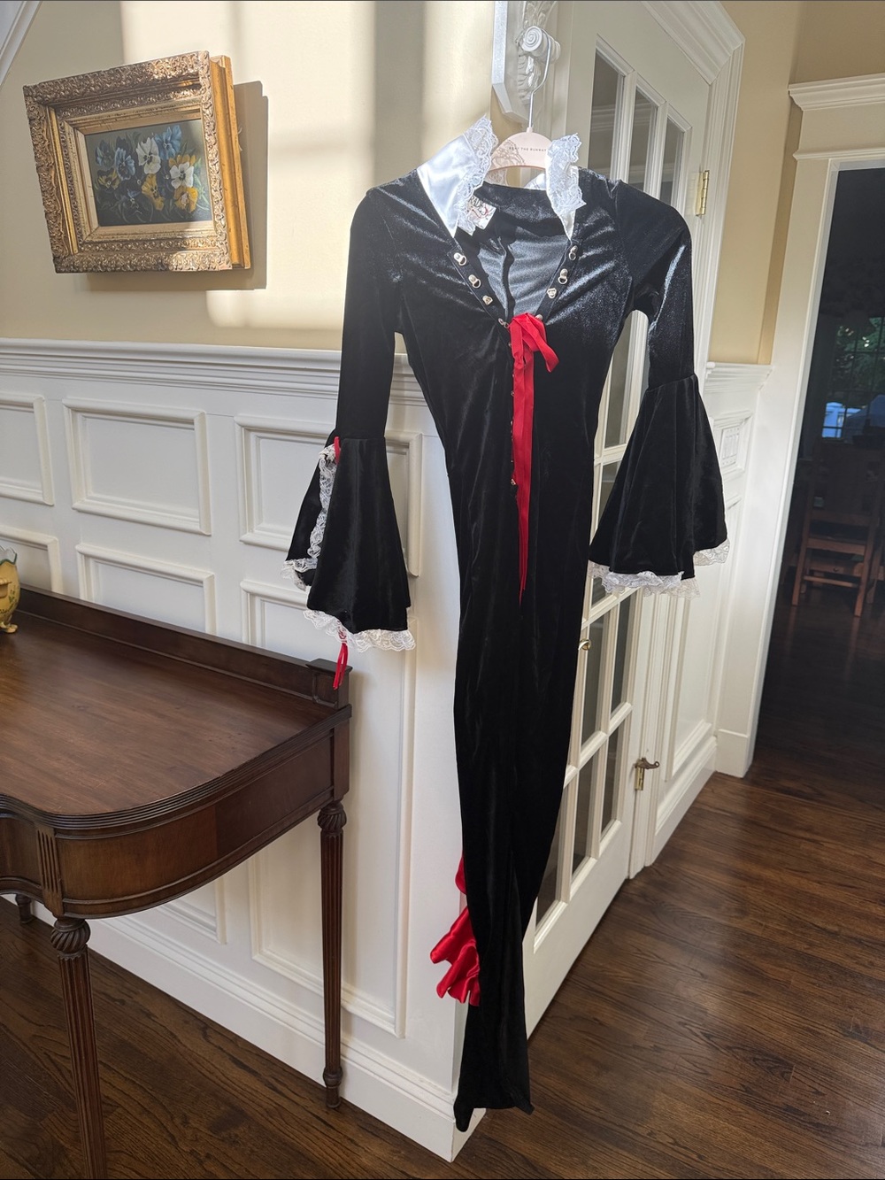Women's Halloween Black Velvet Vampire Dress with Red Accents